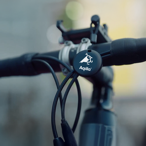 Aqiila Tagbird Nøglering 1-pak