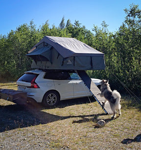 Hundramp för taktält
