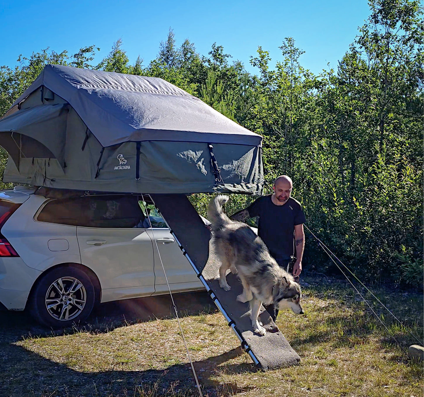 Hundramp för taktält