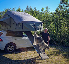 Hundramp för taktält